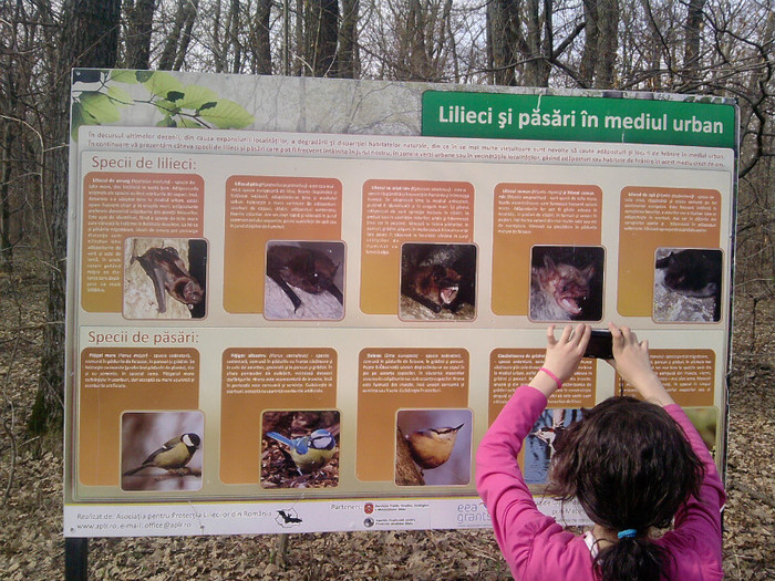 La gradina zoologica - 2012 Scoala altfel 2-6 apr Excursie Sibiu
