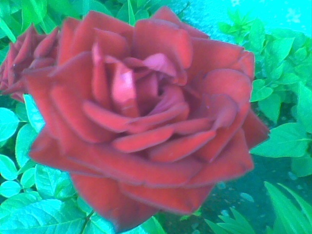 Image015