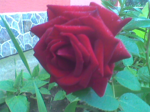 Image064