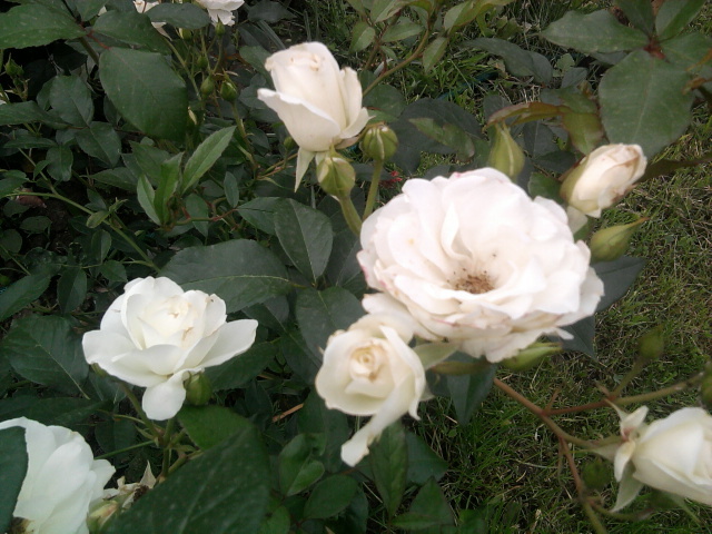 Photo0791