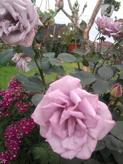 Photo0794