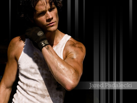 Jared (7)