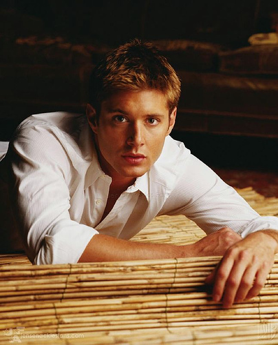 Jensen (7) - Dean
