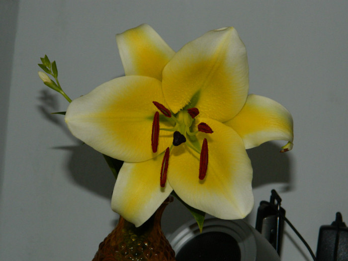 DSCN9720