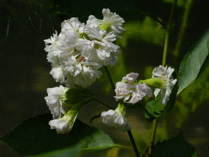 DSCN9744