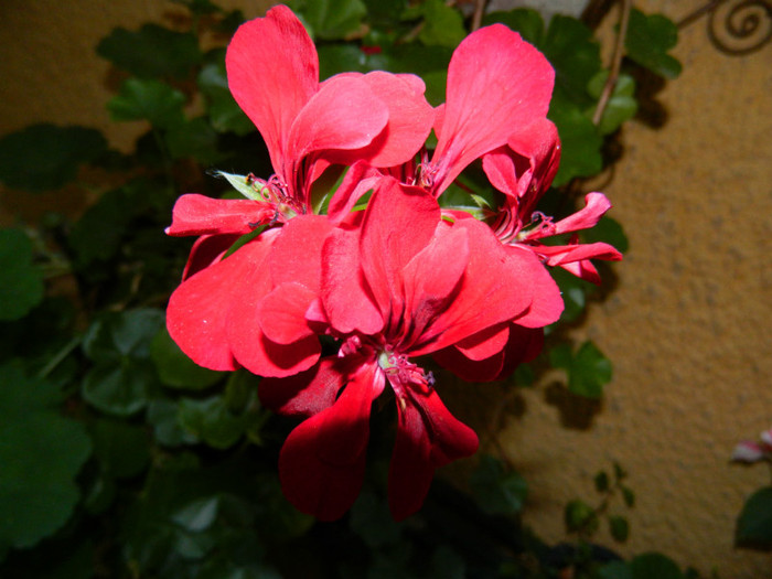 DSCN9783