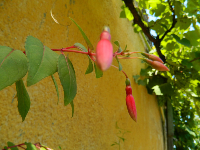 DSCN9813