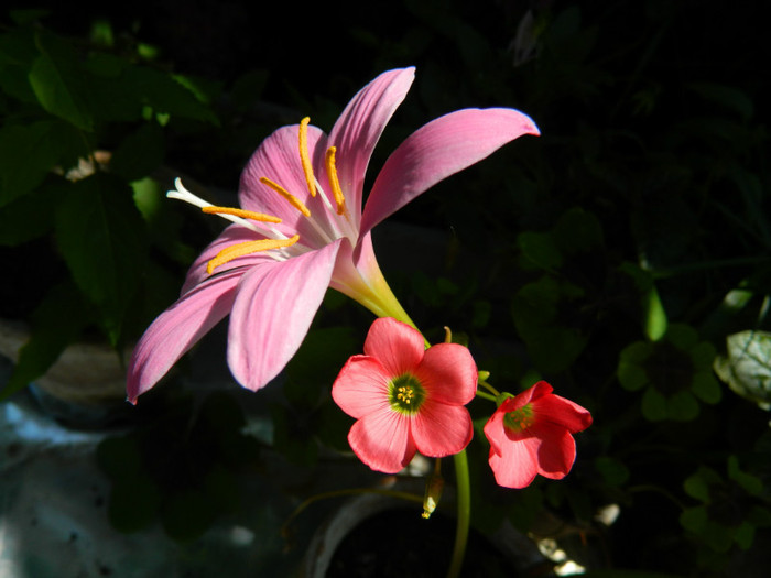 DSCN9817