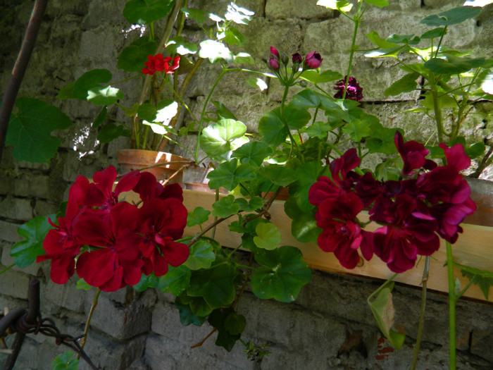 DSCN9819