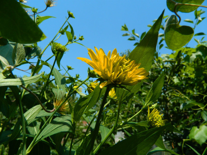 DSCN9821
