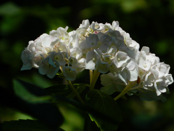 DSCN9823
