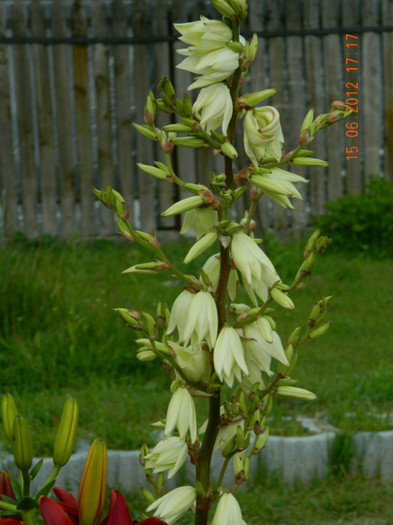 094 - 6_IUNIE