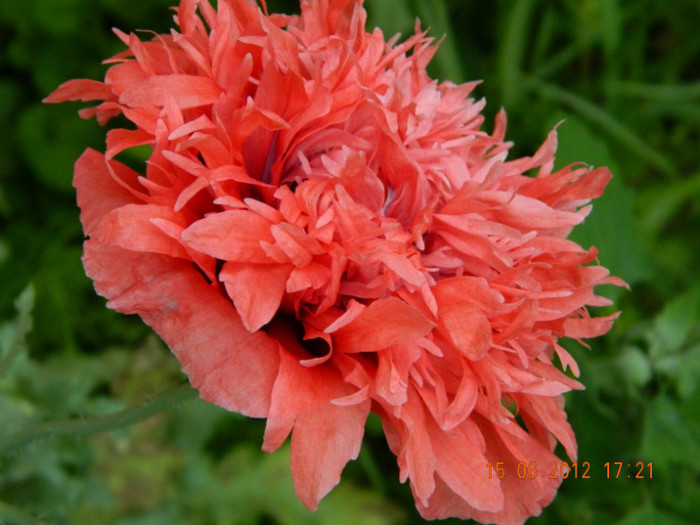 104 - 6_IUNIE