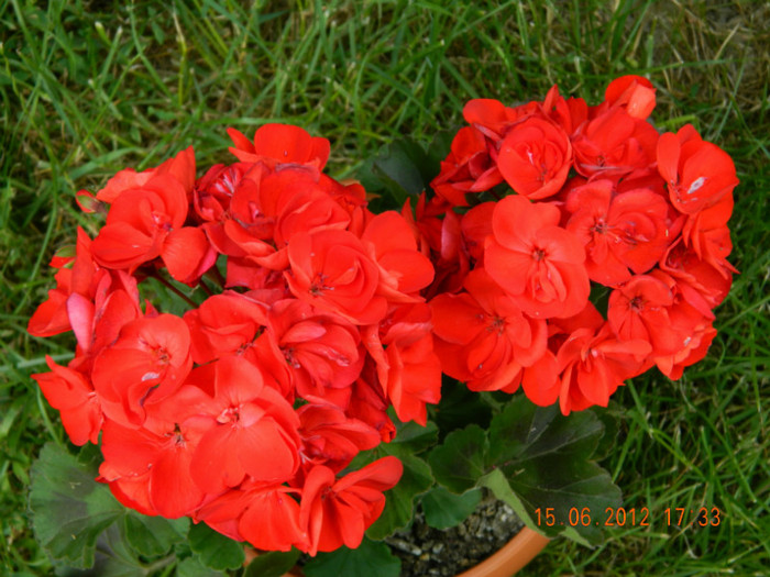 125 - 6_IUNIE