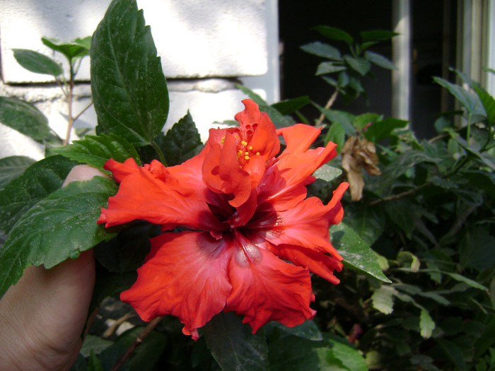 DSC08971