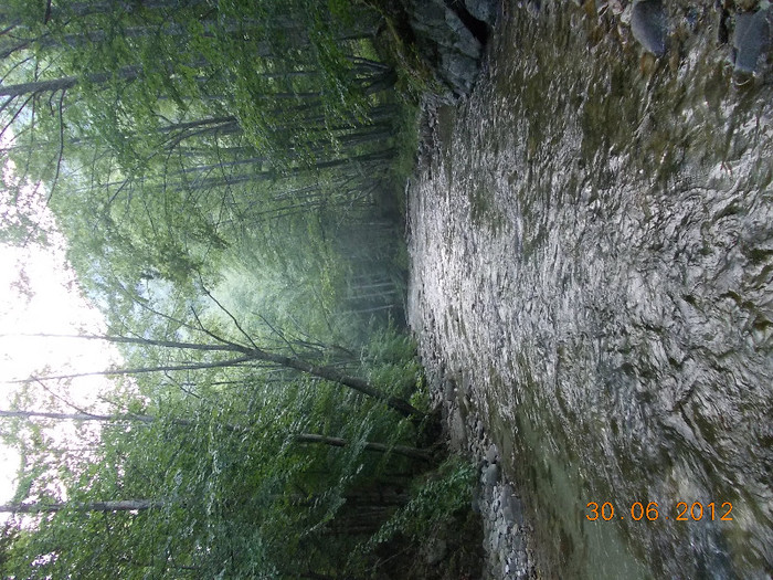 DSCN0935