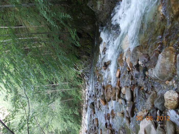 DSCN0936