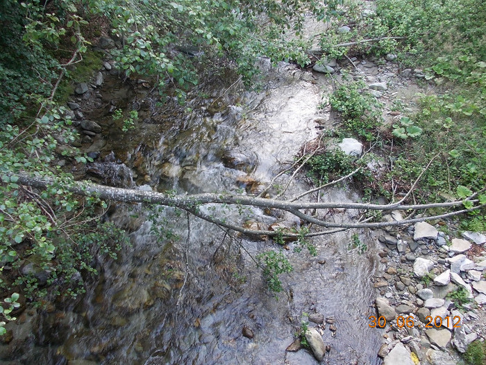DSCN0939