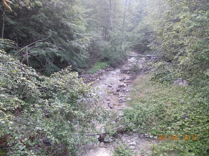 DSCN0940