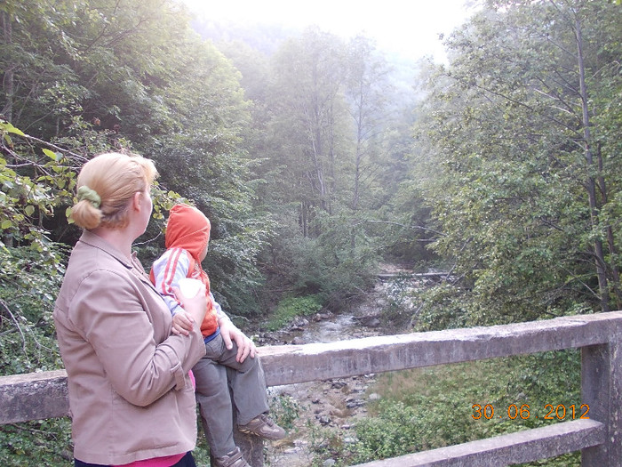 DSCN0944