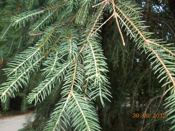 DSCN0957