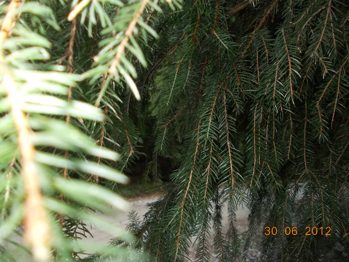 DSCN0958
