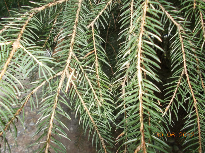 DSCN0959