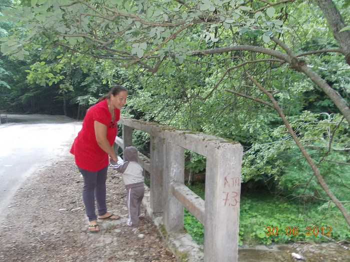 DSCN0971