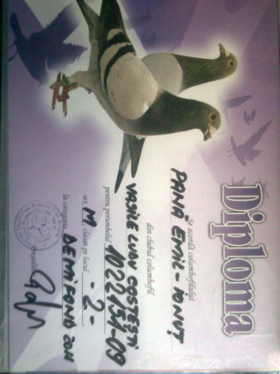 locul 2 demifond club
