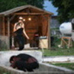 inima-de-tigan-605005l-thumbnail_gallery