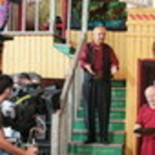 inima-de-tigan-867902l-thumbnail_gallery - Inima De Tigan