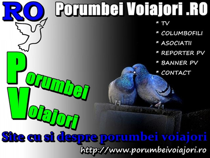 http://www.porumbeivoiajori.ro - X Contact