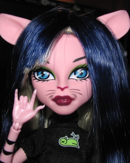 MonsterHighCreateAMonster - monster high create a monster