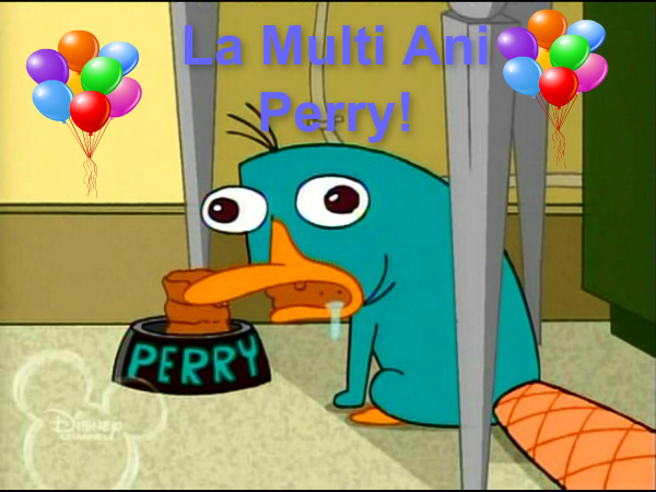  - la multi ani Perry Ornitorincul
