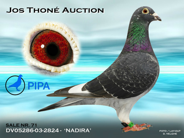 20110102072205-5ba62329b614b8eac75e4b7e2e97aa37