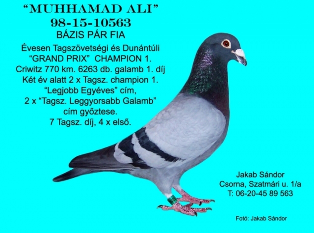 20110111100849-fbfe47f08ef859fafb6e60dd4f120944