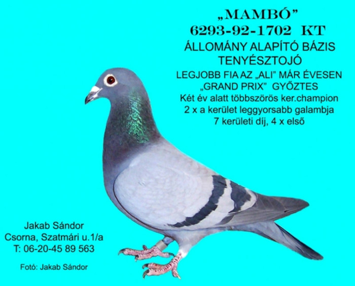 20110111101924-3f7e397ea9ef84e7d6134ec146b60e3c