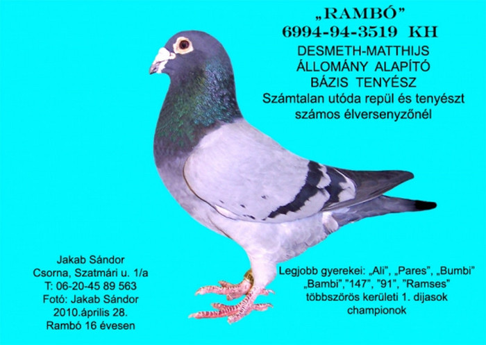 20110111102410-693bedb348d2e810212355edf250a869