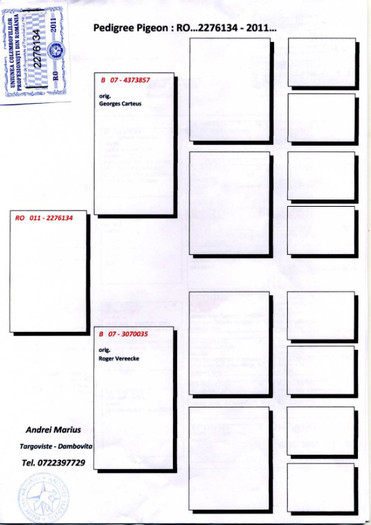 Carteus_Page_1