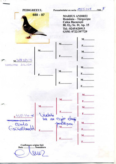 marius_andrei_Page_1