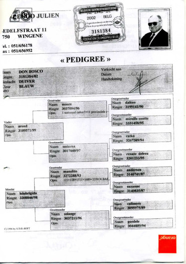 marius_andrei_Page_2