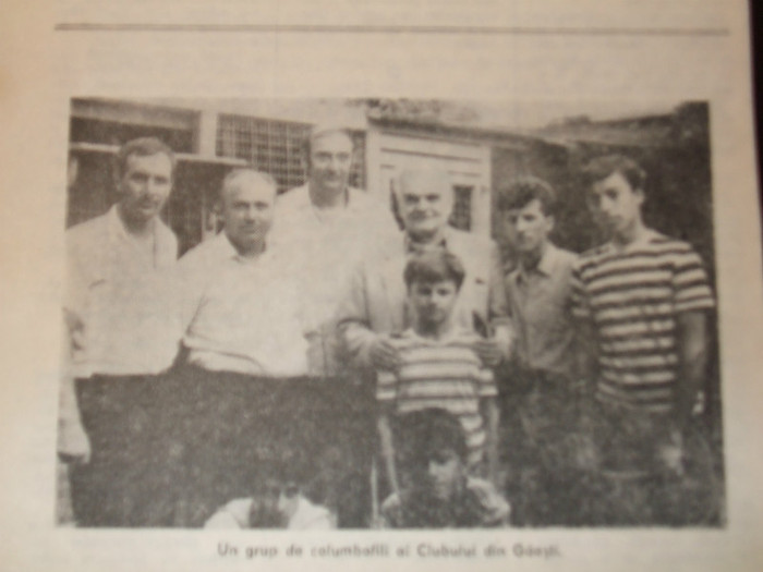 poye de pe camera aprilie 2011 003