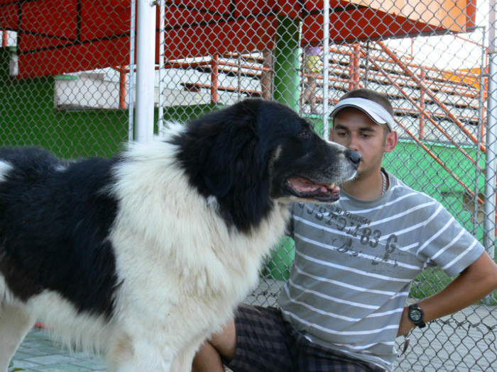 P1240020; CACIB BAIA MARE 30.06.2012
