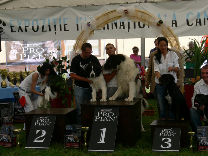 P1240131; CACIB BAIA MARE 30.06.2012
