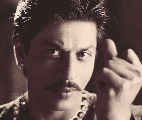 tumblr_m320i8QarR1qk773do1_500