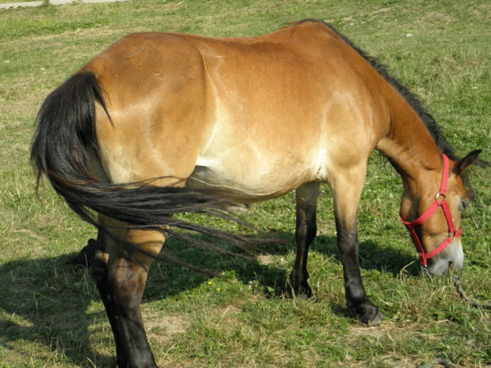 P7053232