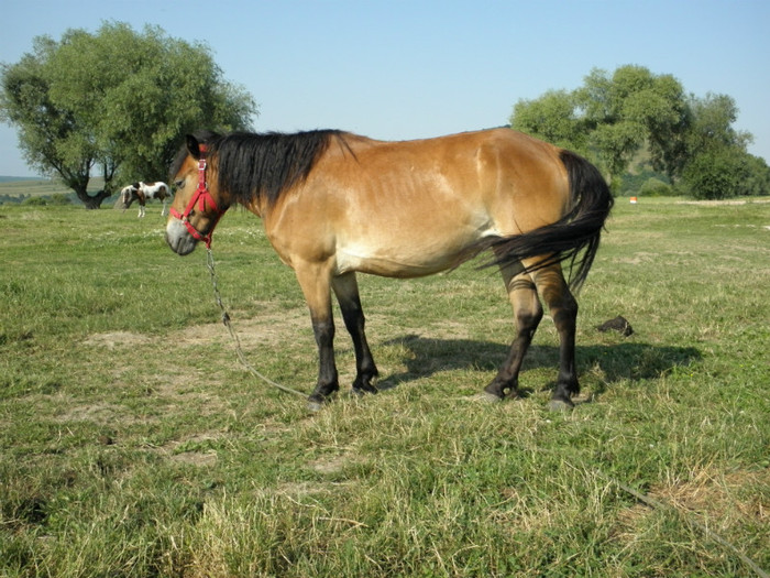 P7053251