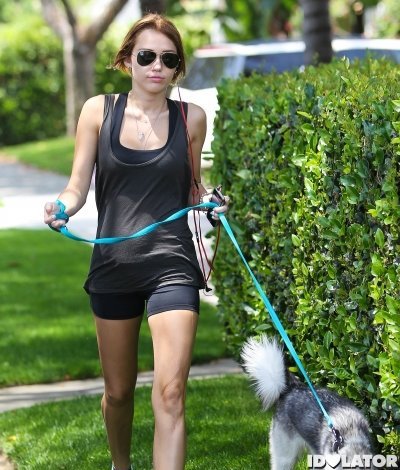 533008_10150782696869435_74773214434_9174956_950953855_n