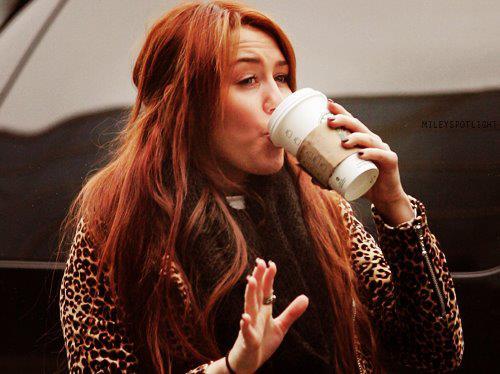 534436_398526443526172_170461609665991_1204423_1594560951_n