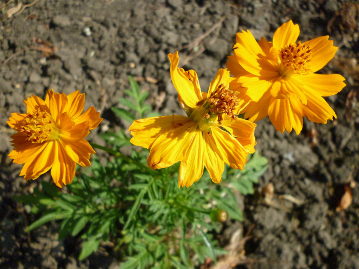 P1000957
